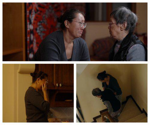 全网首播！任长箴周轶君最新力作《陪你老》，关注千万认知症患者及家庭