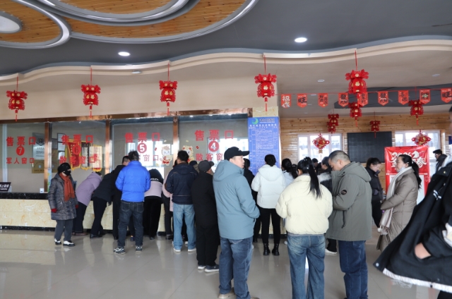 春节假期文旅市场活力足，多家景区实现马年新春开门红