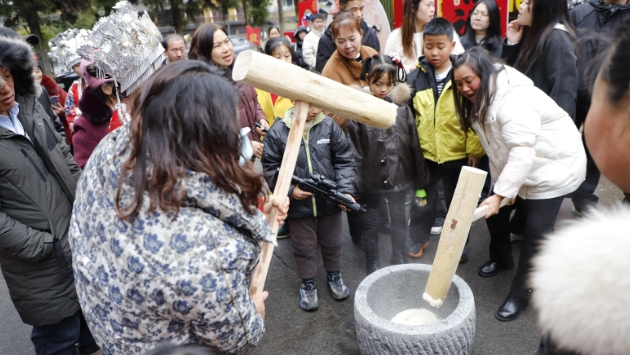 春节假期文旅市场活力足，多家景区实现马年新春开门红